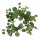 Eukalyptus-Kranz mit wei&szlig;en Beeren &Oslash; ca. 30 cm