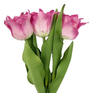 Deko Tulpen Bund pink 3 Stück