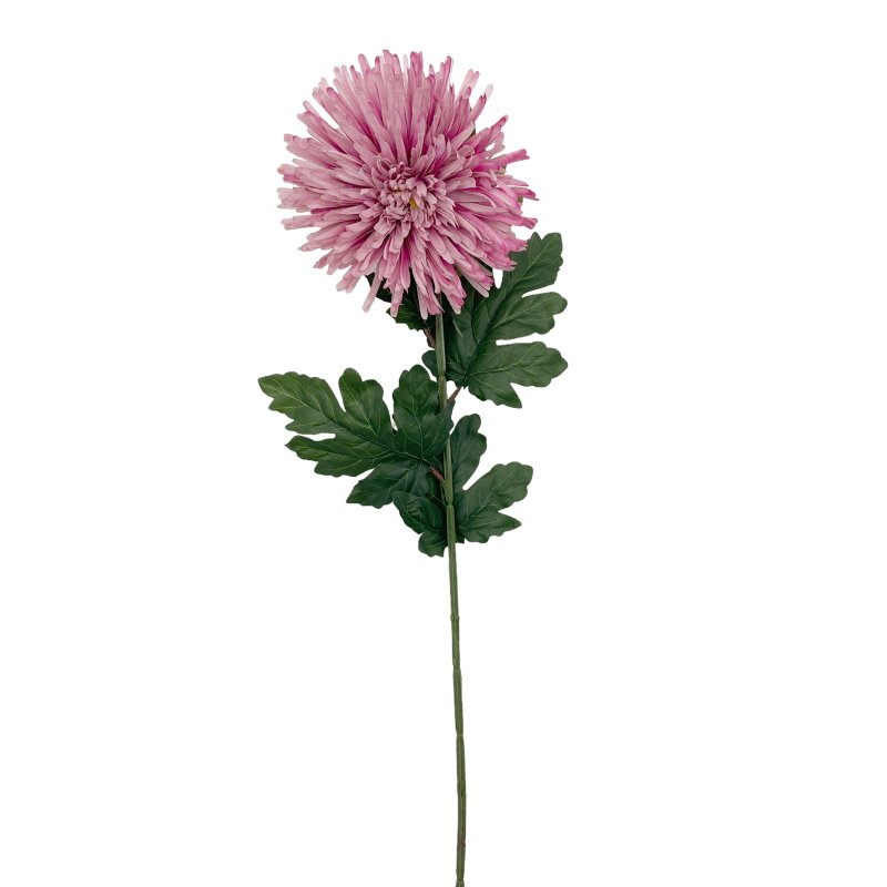 Deko Blume 