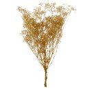 Schleierkraut getrocknet beige/natur ca. 75 cm