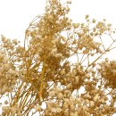 Schleierkraut getrocknet beige/natur ca. 75 cm