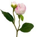 Deko Pfingstrose wei&szlig;/rosa ca. 43 cm
