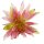 Dekoblume Seerose rosa ca. 70 cm