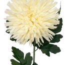 Deko Blume &quot; Chrysantheme &quot; wei&szlig; ca. 80 cm