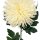 Deko Blume " Chrysantheme " weiß ca. 80 cm