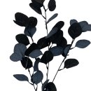 Deko Eukalyptus Zweig schwarz ca.73 cm