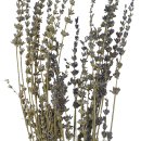Lavendel Trockenblumen-Bund
