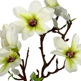 Deko Magnolienzweig weiß ca.50 cm