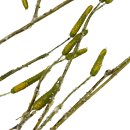 Künstliches Seegras grün ca.160 cm