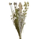 Trockenblumen-Bund G&auml;nsebl&uuml;mchen ca. 60 cm