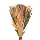 Trockenblumen-Bund Weizen rosa ca. 55 cm