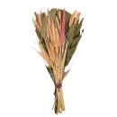 Trockenblumen-Bund Weizen rosa ca. 55 cm