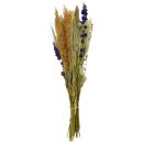 Trockenblumen-Bund Rittersporn/Pampas ca. 60 cm