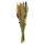 Trockenblumen-Bund Rittersporn/Pampas ca. 60 cm