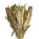 Trockenblumen-Bund Weizen natur ca. 55 cm