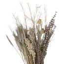 Trockenblumen-Bund Weizen greige ca. 60 cm