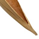 Kokosnussholz-Schiffchenschale natur ca. 72 cm