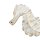 Holz Seepferdchen natur/weiß ca. 35 cm