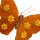 Deko Schmetterling orange ca. 12 cm