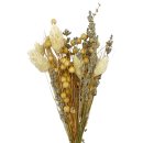 Mini Trockenblumen-Bund natur ca. 25 cm