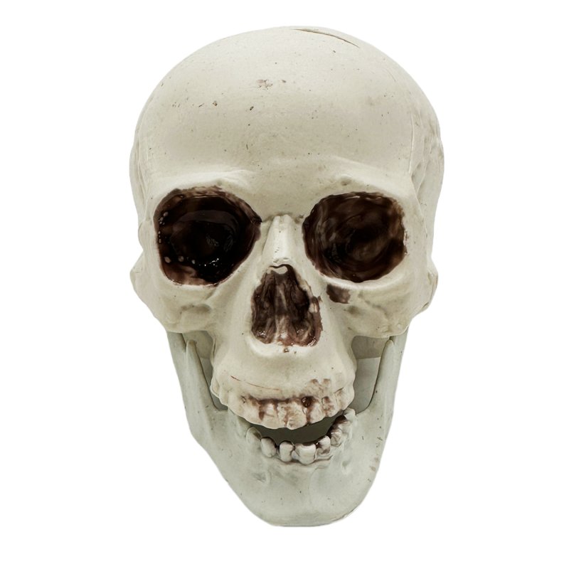 Halloween Deko-Totenkopf ca. 12 cm, 1,95 €