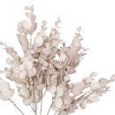 Deko Eukalyptus Zweig Rosa  ca. 36 cm