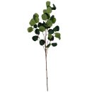 Deko Eukalyptus Zweig Gr&uuml;n ca. 90 cm
