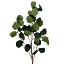 Deko Eukalyptus Zweig Gr&uuml;n ca. 90 cm