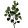 Deko Eukalyptus Zweig Grün ca. 90 cm