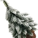 Naturgetreuer Tannenbaum mit Schnee Grün ca. 15 cm