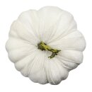 Herbstlicher Deko-Kürbis aus Samt Weiß...