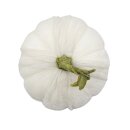 Herbstlicher Deko-Kürbis aus Samt Weiß...