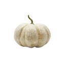 Herbstlicher Deko-Kürbis Weiß/Gold Ø...