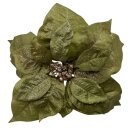 Weihnachtsstern mit Spange Khaki/Gold Ø ca. 24 cm