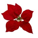 Weihnachtsstern mit Spange Rot Ø ca. 22 cm