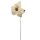 Weihnachtsstern Lachs/Gold/Glitzer ca. 56 cm
