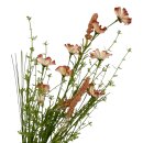 Portulakröschen Strauß Creme ca. 50 cm