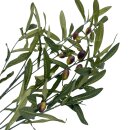 Ôlivenzweig Grün Naturgetreu ca.97 cm