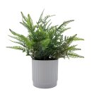 Künliche Pflanze im Topf Grün ca.28 cm