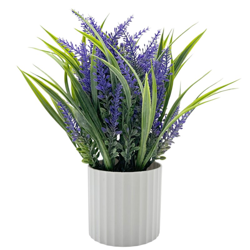 Lavendel im Topf Lila ca. 28 cm