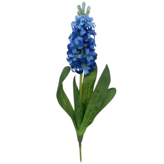Hyazinthe Flieder