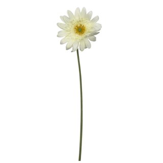 Künstliche Gerbera Weiß Ca.53 cm