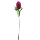 Künstliche Banksie Pink ca.65 cm