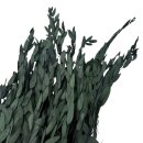 Künstliche Frauenhaarfarne Dunkelgrün ca.80 cm