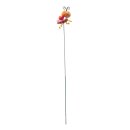 Dekorativer Gartenstecker " Schmetterling "...