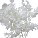 Deko Eukalyptus Zweig Weiß ca. 36 cm