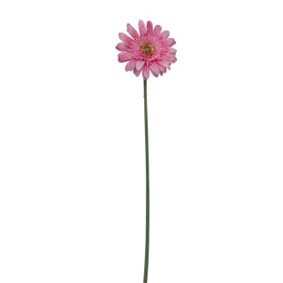 Künstliche Gerbera Rosa ca. 53 cm