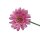 Künstliche Gerbera Rosa ca. 53 cm