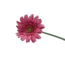 Künstliche Gerbera Lachs ca. 53 cm