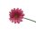 Künstliche Gerbera Lachs ca. 53 cm